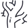 arterial treatments
