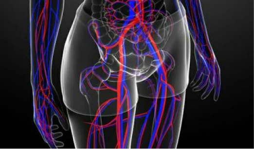 treatments for pelvic venous congestion-pvcs
